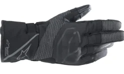 Alpinestars Handske Dam Andes v3 Drystar Svart